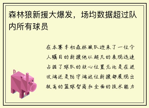 森林狼新援大爆发，场均数据超过队内所有球员